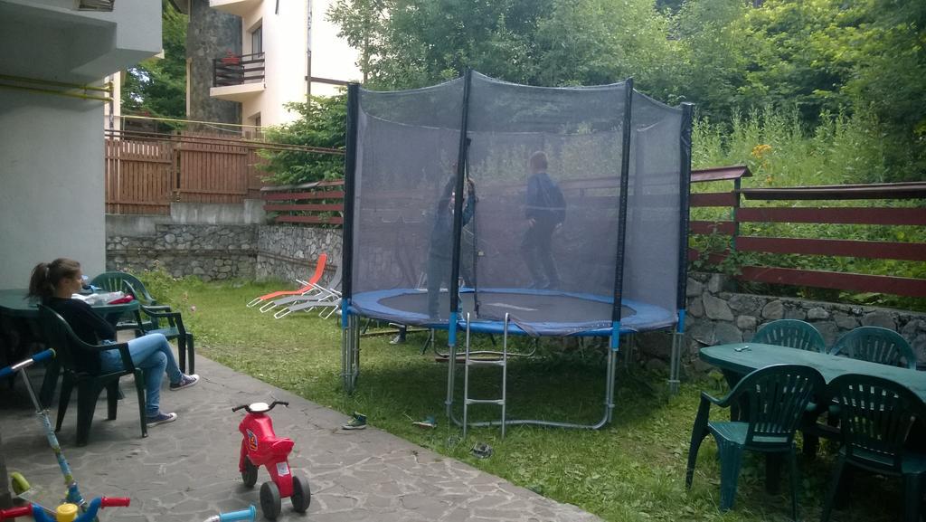 Pensiunea Codrului 锡纳亚 客房 照片