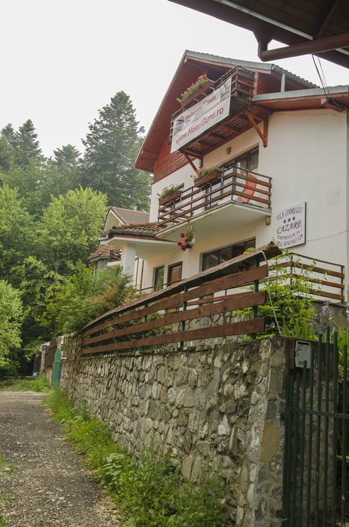 Pensiunea Codrului 锡纳亚 外观 照片